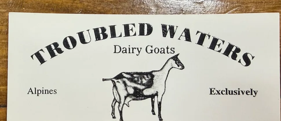Privacy-cropped historical business card reading Troubled Waters Dairy Goats, with an Alpine goat illustration.